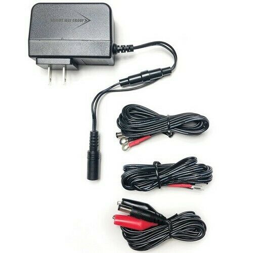 Bright Way Group 6V 500mA Charger