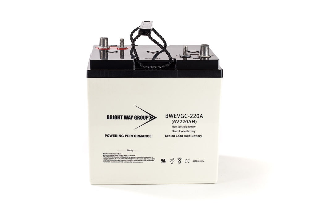 Bright Way Group BW EVGC6 - 6V 220AH Deep Cycle Golf Cart Battery