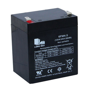 Bright Way Group BW 1245 - 12V 4.5AH SLA Battery