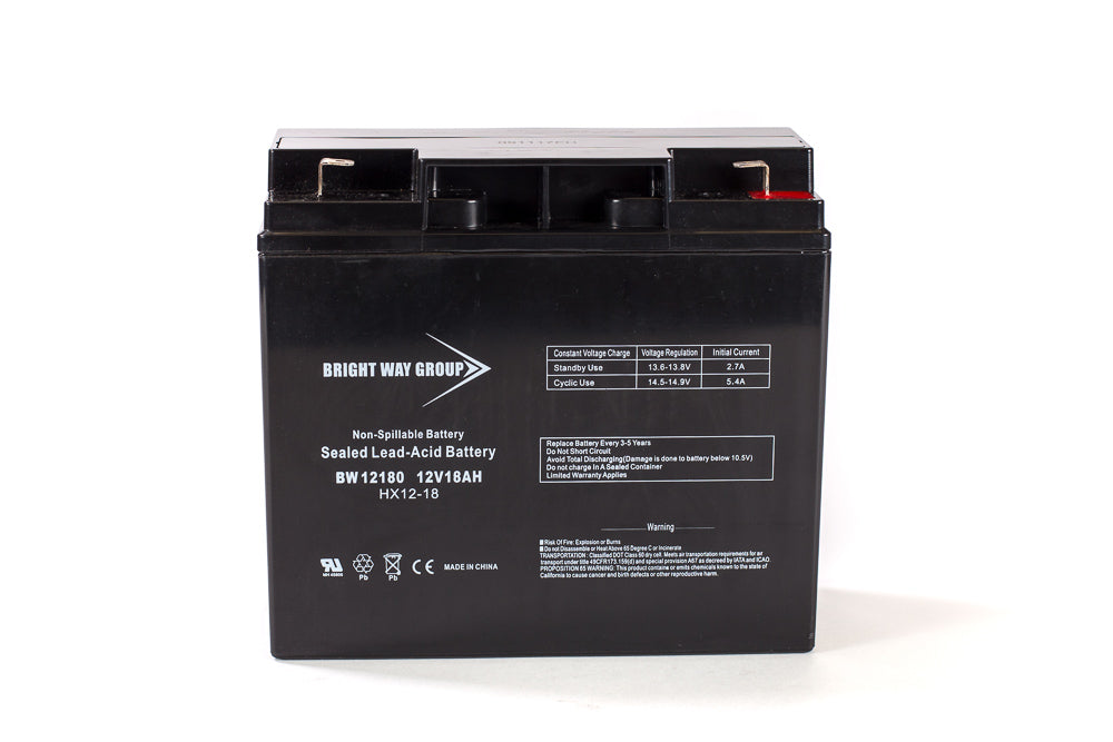 Bright Way Group BW 12180 F2 - 12V 18AH SLA Battery