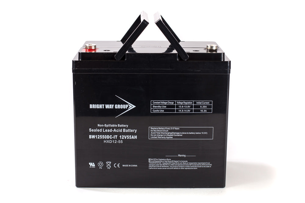 Bright Way Group BW 12550 IT (Group 22NF) - 12V 55AH SLA Battery