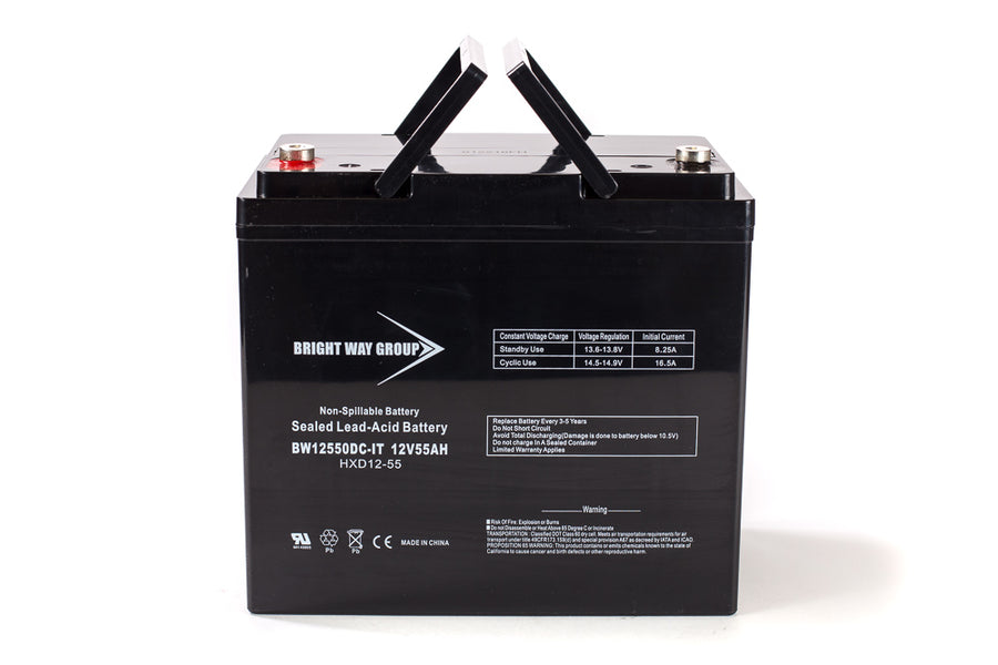 Bright Way Group BW 12550 IT (Group 22NF) - 12V 55AH SLA
