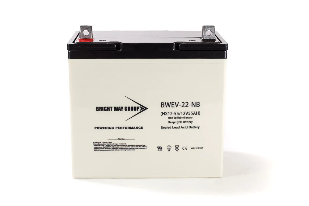 Bright Way Group BW 12500 IT - 12V 50AH SLA Battery — Battery Wholesale