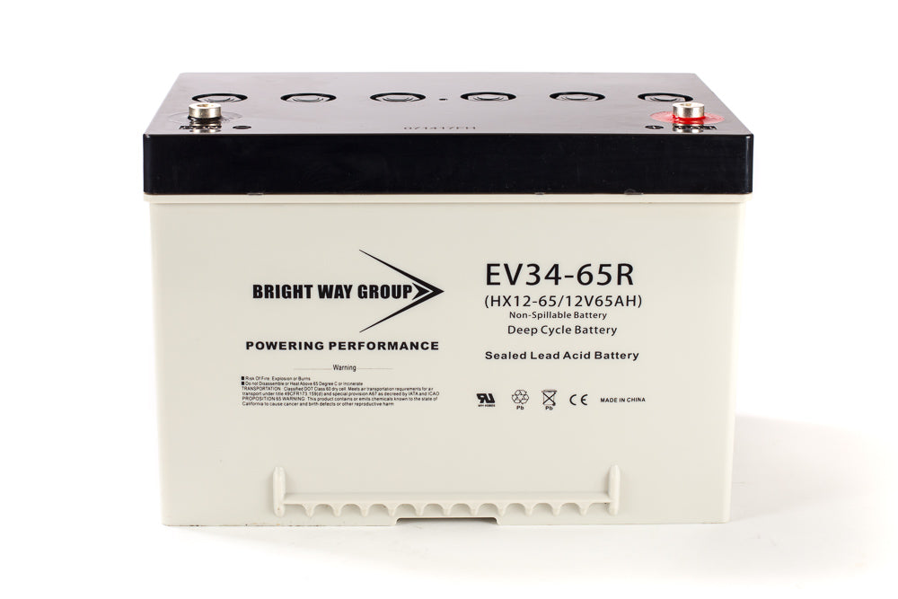 Bright Way Group BW EV-34 - 12V 65AH SLA Battery